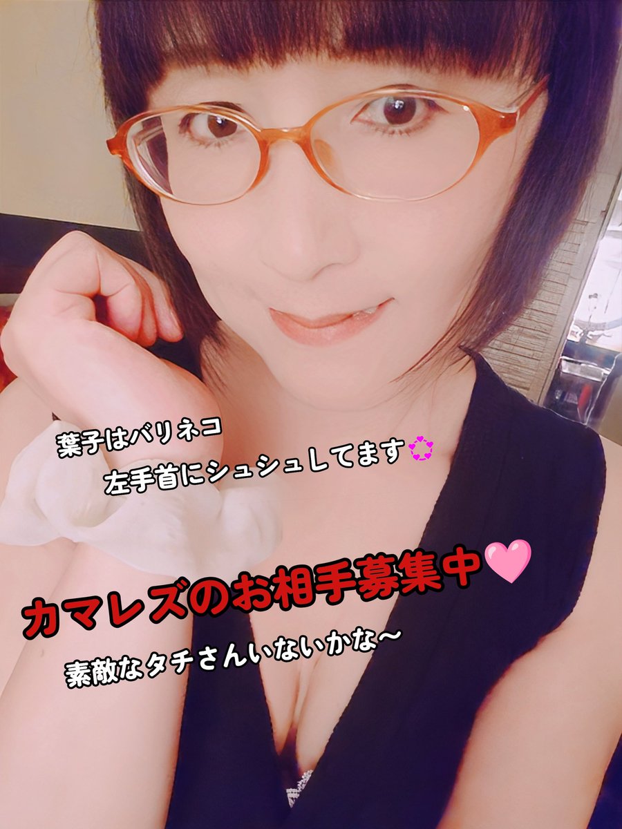 ネコの日 朝から考えて⋯⋯ 結局過去画使いまわし＆加工🤭 バリネコ