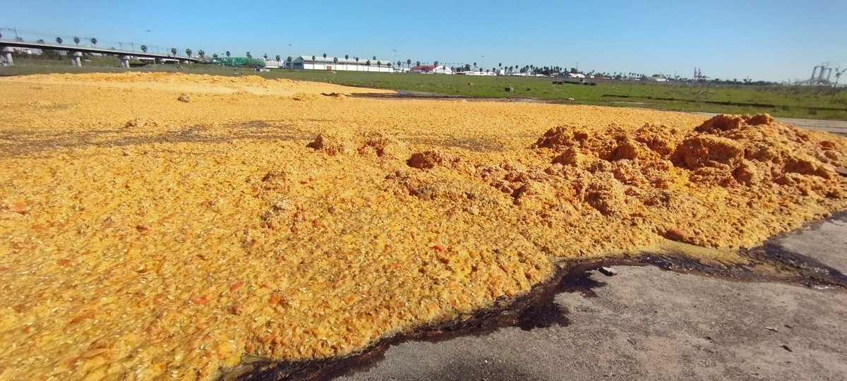 En nuestro paseo del sábado tuvimos este desagradable descubrimiento: toneladas de naranjas arrojadas en medio de la dehesa de Tablada pudriéndose al sol 🤢. Es Tablada el nuevo vertedero  a cielo abierto? <a href="/Ayto_Sevilla/">Ayuntamiento de Sevilla</a> , <a href="/jlsanzalcalde/">José Luis Sanz</a> <a href="/eveliarincon/">Evelia Rincón</a> , saben ustedes algo ? 🤔