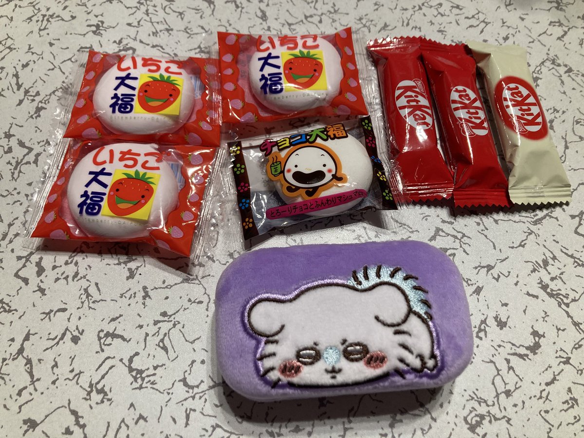 帰宅！ 本日の戦利品！ モモンガのジュエリーミニケース欲しかったんだ