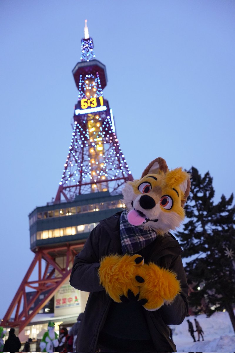 Ley DingoFox tweet media