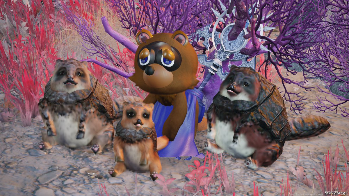 たぬきのたまり場 #PSO2NGS_SS