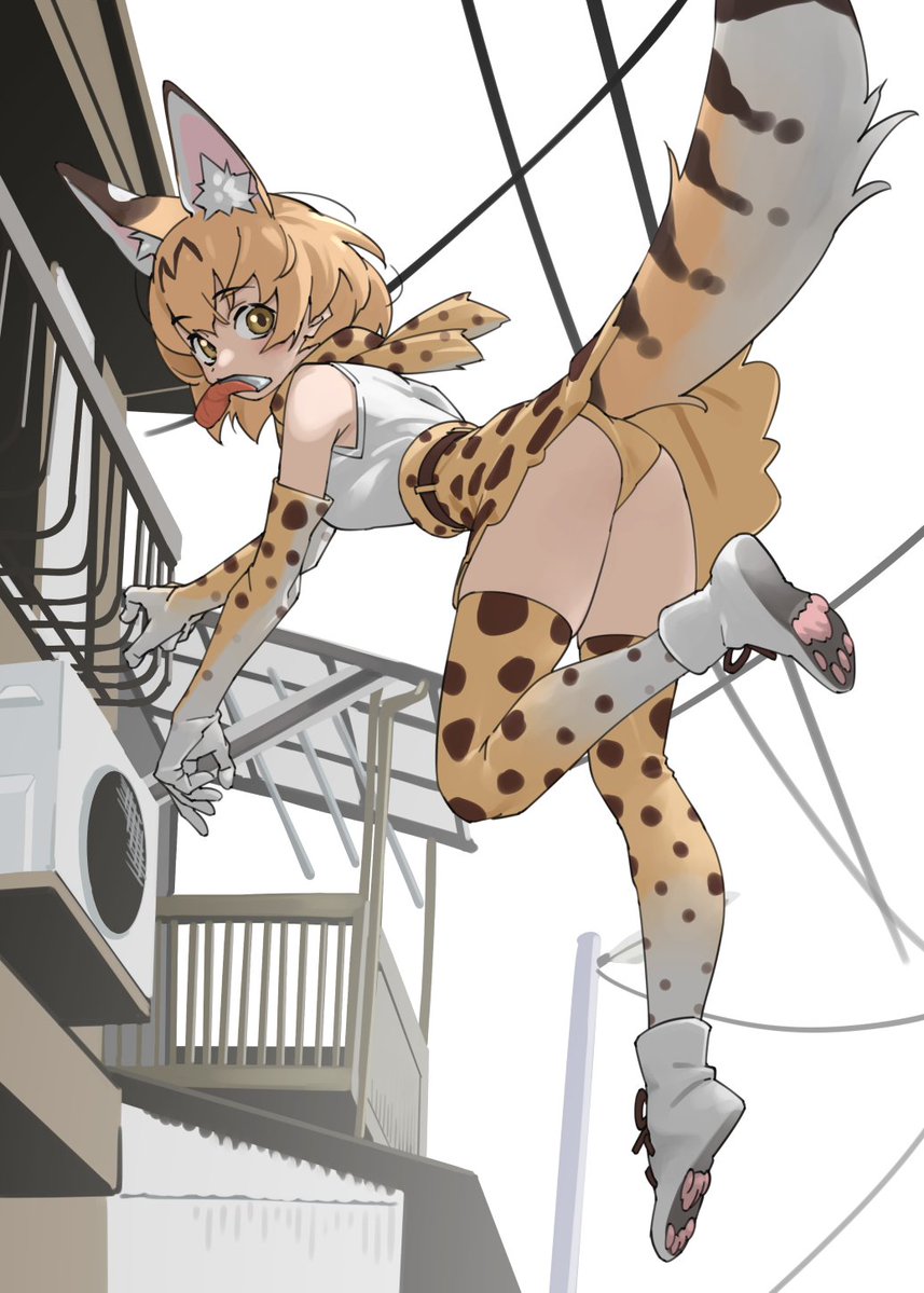 田名部 tweet media