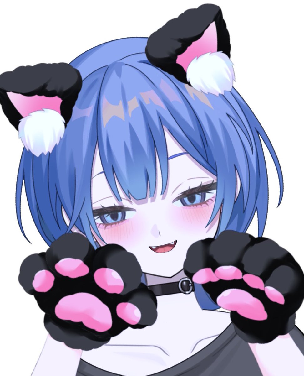 ꒦꒷ ✝︎ ❥ ------------------------- ❥ ✝︎ ꒷꒦ #猫の日