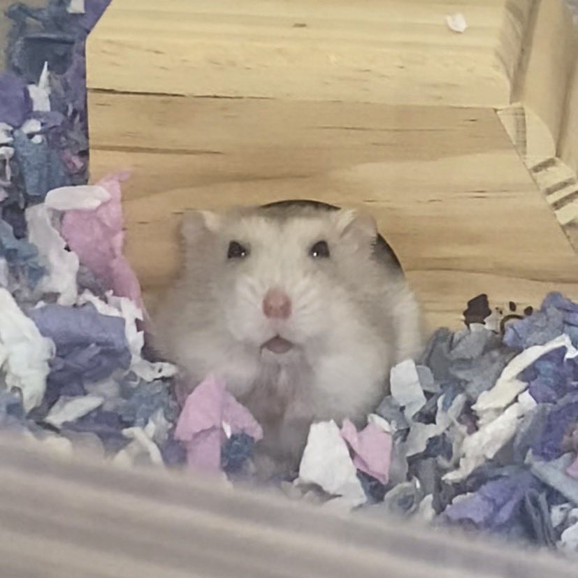 一緒になにか面白いことしましょう