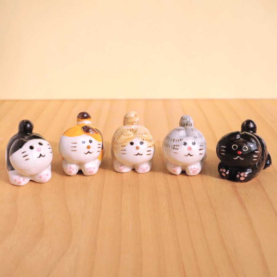 chopi and choco (ひよこ) tweet media