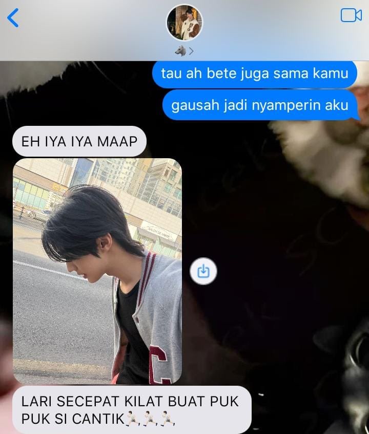 doshin / donit onetweet au