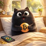 Photo by BITCAT - Bitcoin's Mascot (@BitCat_sol_)