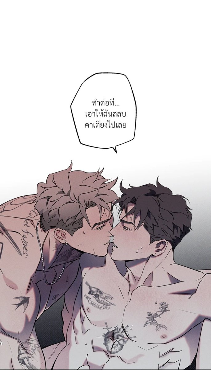 🐱แมวเหมียวเฉิงของกระต่ายเฟย🐰 ٩(●ᴗ●)۶ (@yume2533) on Twitter photo 