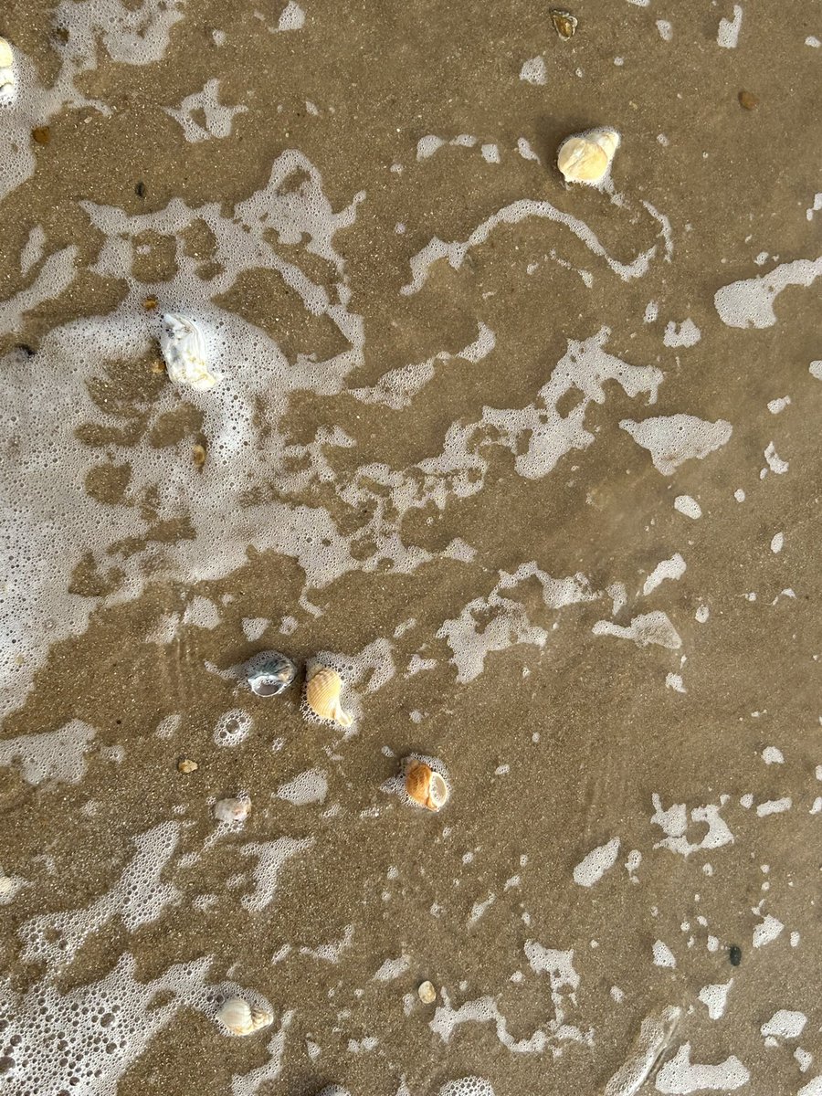 Kate Mellor tweet media