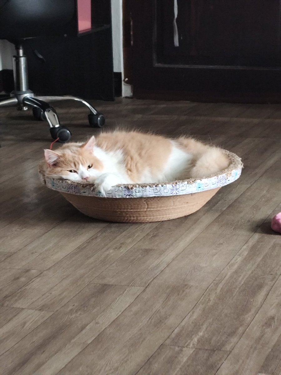 Ad yg mnunggu buka pwasa dngan smngat, ada jg yg mnunggu smbil brmlas2an 😇