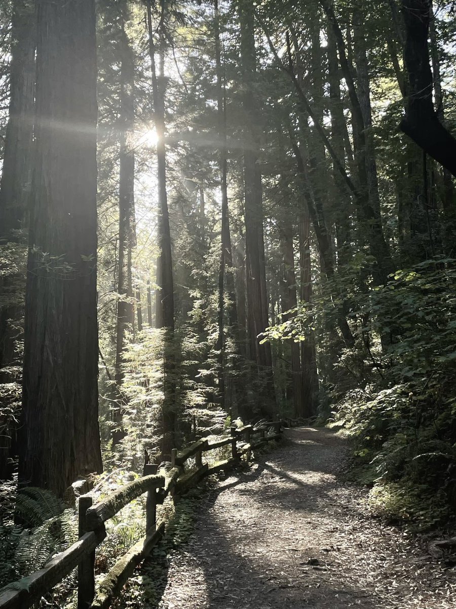 We could be nice to each other