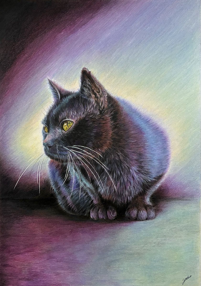 色鉛筆で描いた「黒猫🐈‍⬛」 去年から描いていた猫絵完成しました