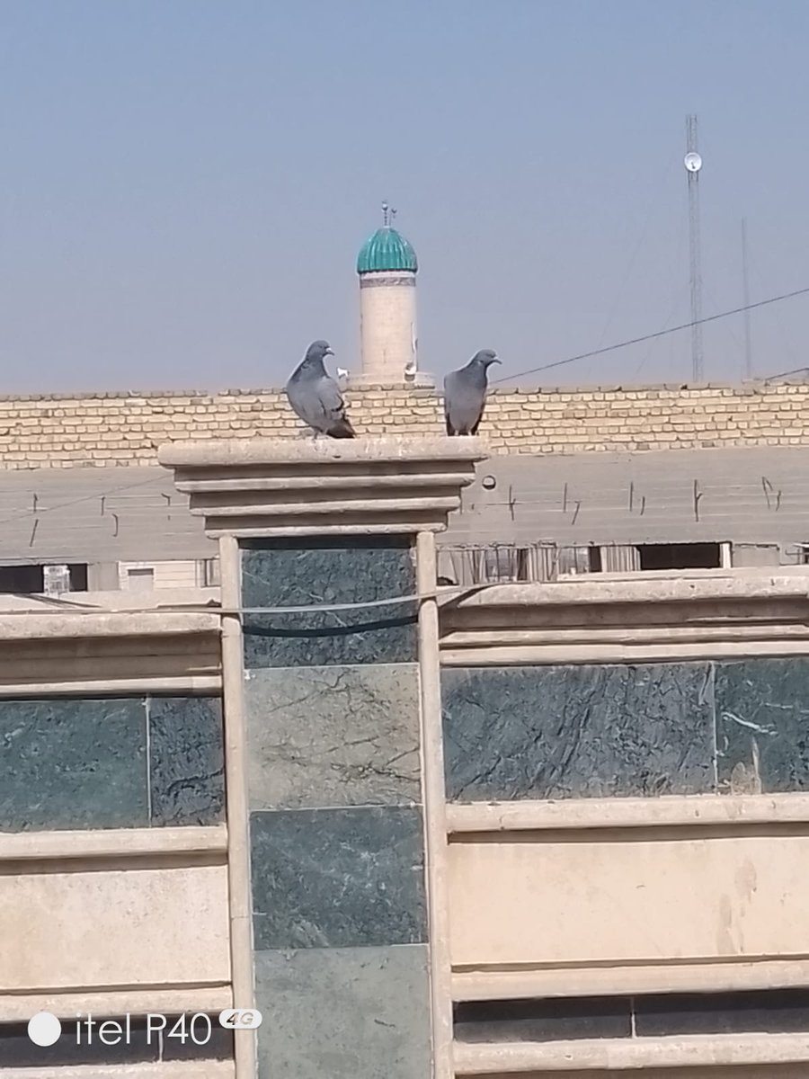 بعدسة  #رائد_جاسم  بس عجبتني <a href="/Lawyer_Raed/">Raed Alkinany🇮🇶</a>