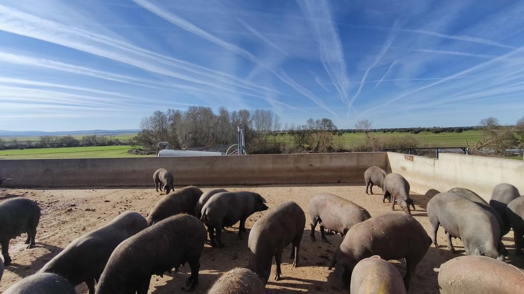 Ya se le acabó la baja por paternidad al de la avioneta de fumigar