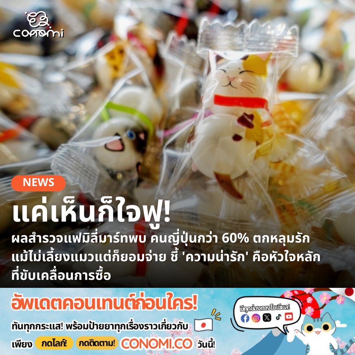 🔸ร้านสะดวกซื้อแฟมิลี่มาร์ท (FamilyMart) ญี่ปุ่น เปิดเผยผลสำรวจต้อนรับวันแมวปี 2026 โดยสอบถามสมาชิก FamiPay ทั่วประเทศเมื่อปลายปี 2025 อายุระหว่าง 10 ปี ไปจนถึงอายุ 60 ปีขึ้นไป จำนวน 1,502 คน พบว่าคนญี่ปุ่นจำนวน 69.8% ตอบว่า 'ชอบแมว'

🔸ขณะเดียวกัน เมื่อถามถึง