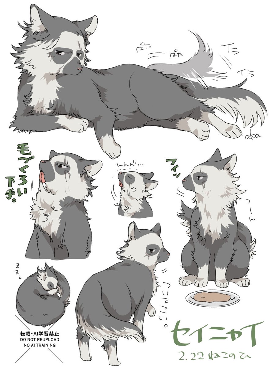 2.22 ねこのひ セイニャイ