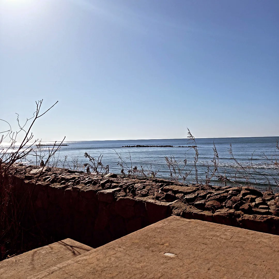 yuji_0820 tweet media