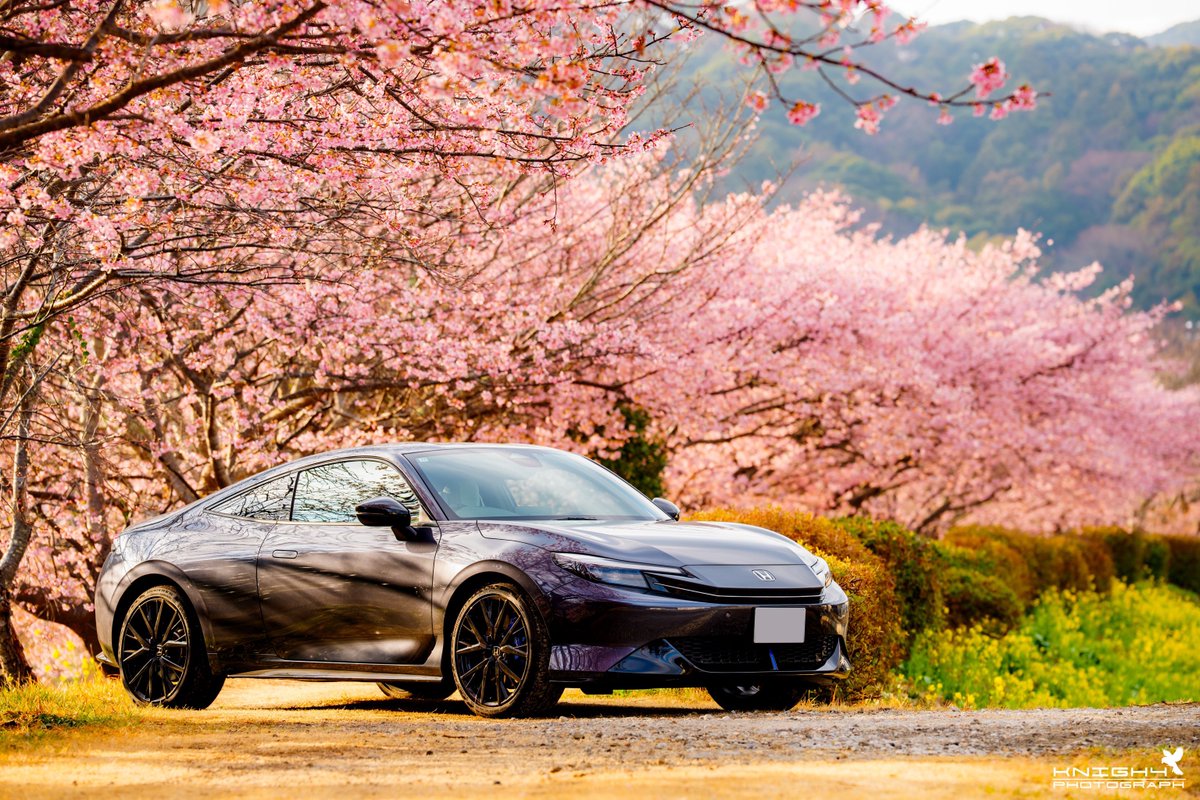 knigh4mare's tweet image. 春告げる調べ
#prelude #bf1