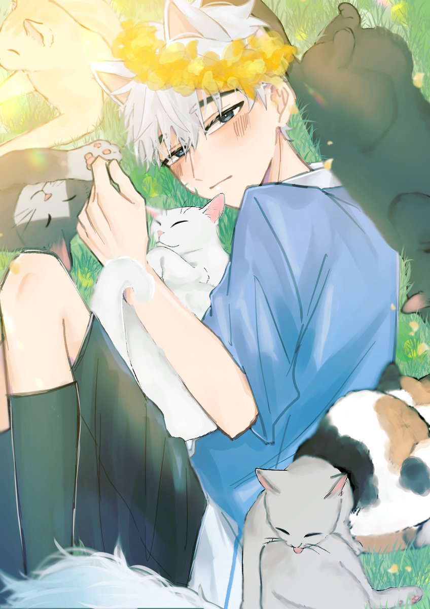 🐱の日 #LinkClick #時光代理人 #时光代理人