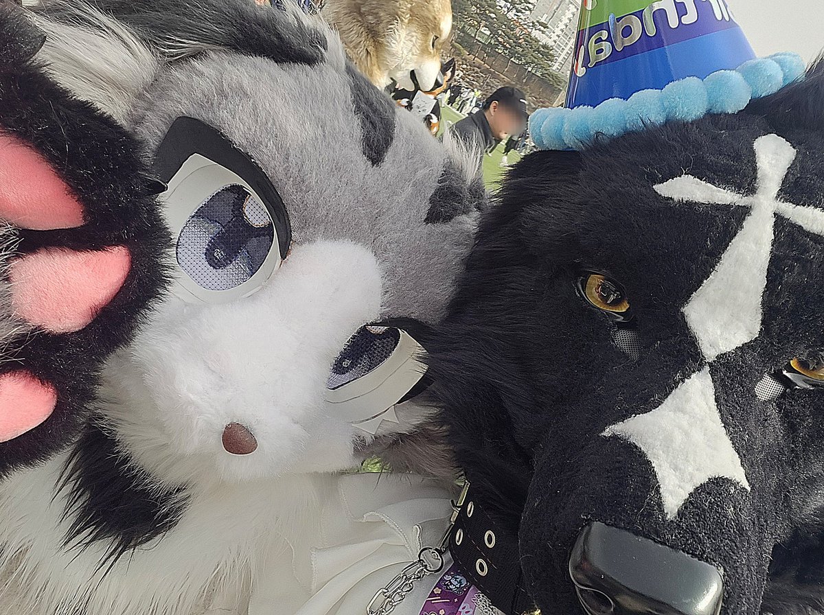 💚세피라(Sephira)🐾🔜퍼리조아(양일) tweet media