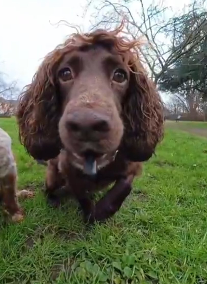 meme_d_internet's tweet image. Hey 🤗 mais c'est Manon Aubry 🤗