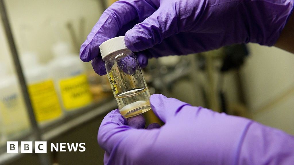 Single vaccine could protect against all coughs, colds and flus, researchers say bbc.in/3ZM4y1m

#vaccination #vaccine #health #immunesystem