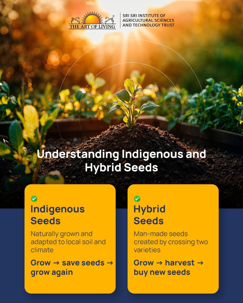 Seeds shape a farmer’s future. Indigenous seeds adapt to local soil, can be saved and shared, and build resilience. 
Hybrids must be bought each season, raising costs and dependence. 
Protecting native seeds protects farmer choice and food security.

👉 ssiast.artofliving.org