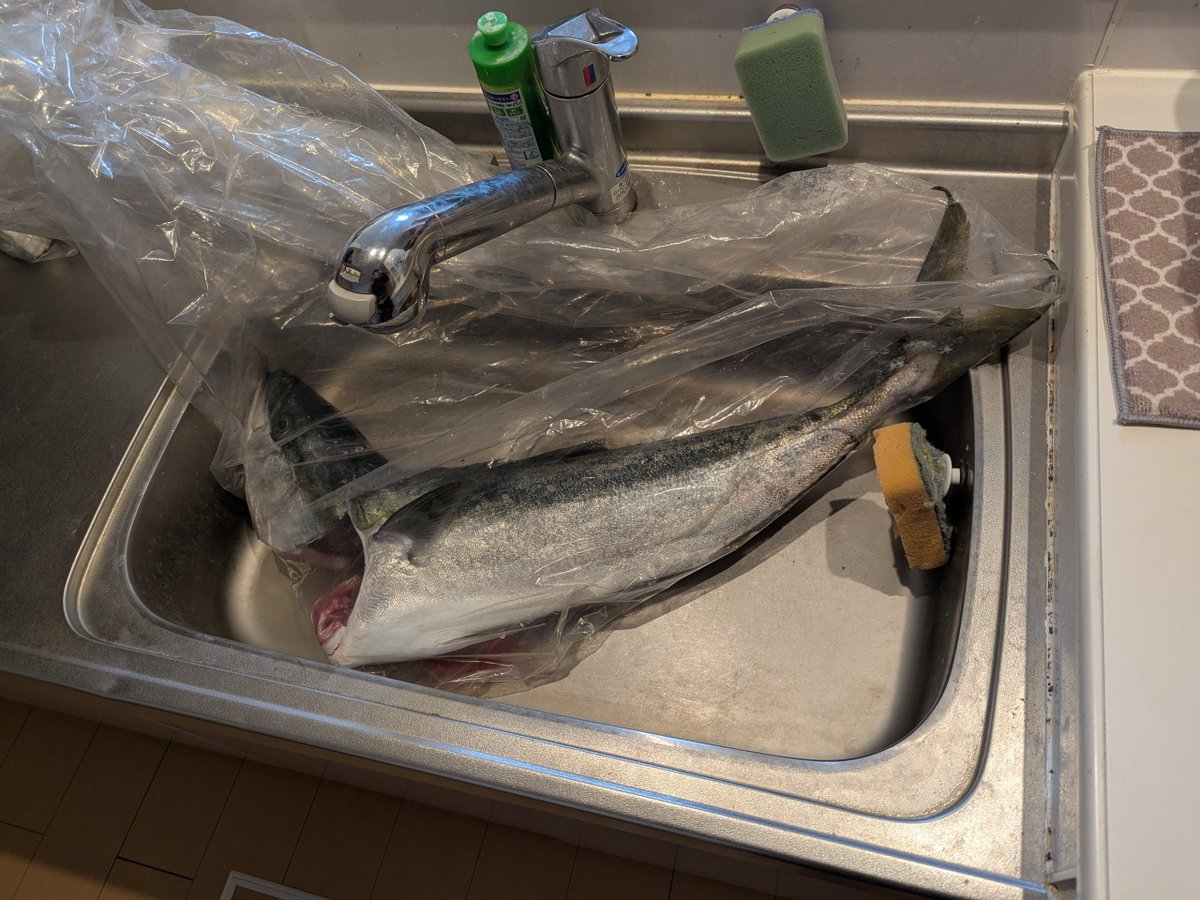 ちなみに一番小さいやつ持ち帰りました😂 あと2つは譲渡👍