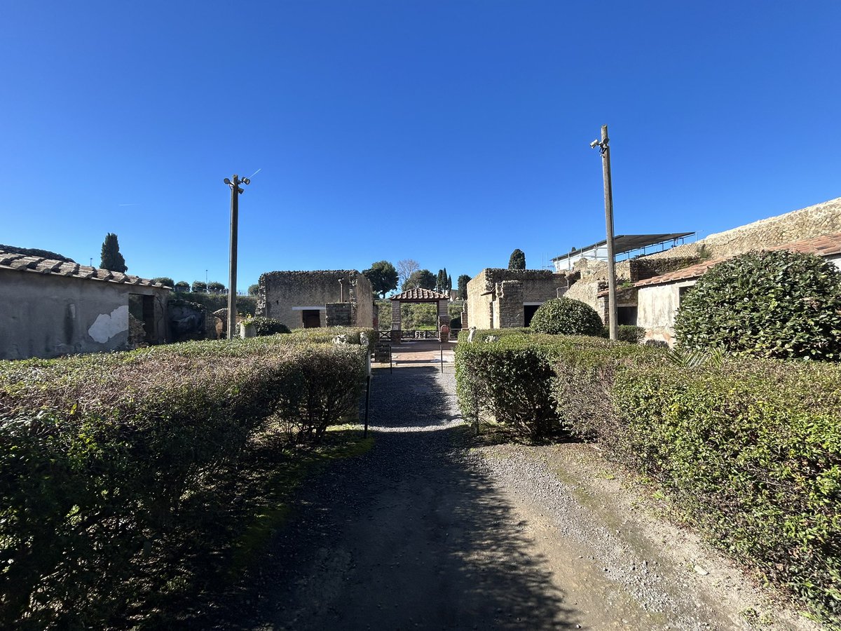 ST JOHNS SIXTH FORM tweet media