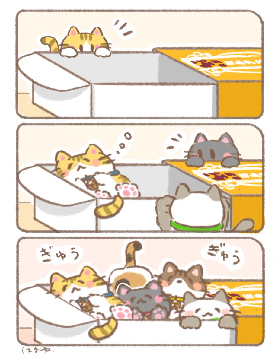 yubigoma's tweet photo. 入れて入れて〜っ🐈💕 #猫の日 https://t.co/QrG8vGEwqp