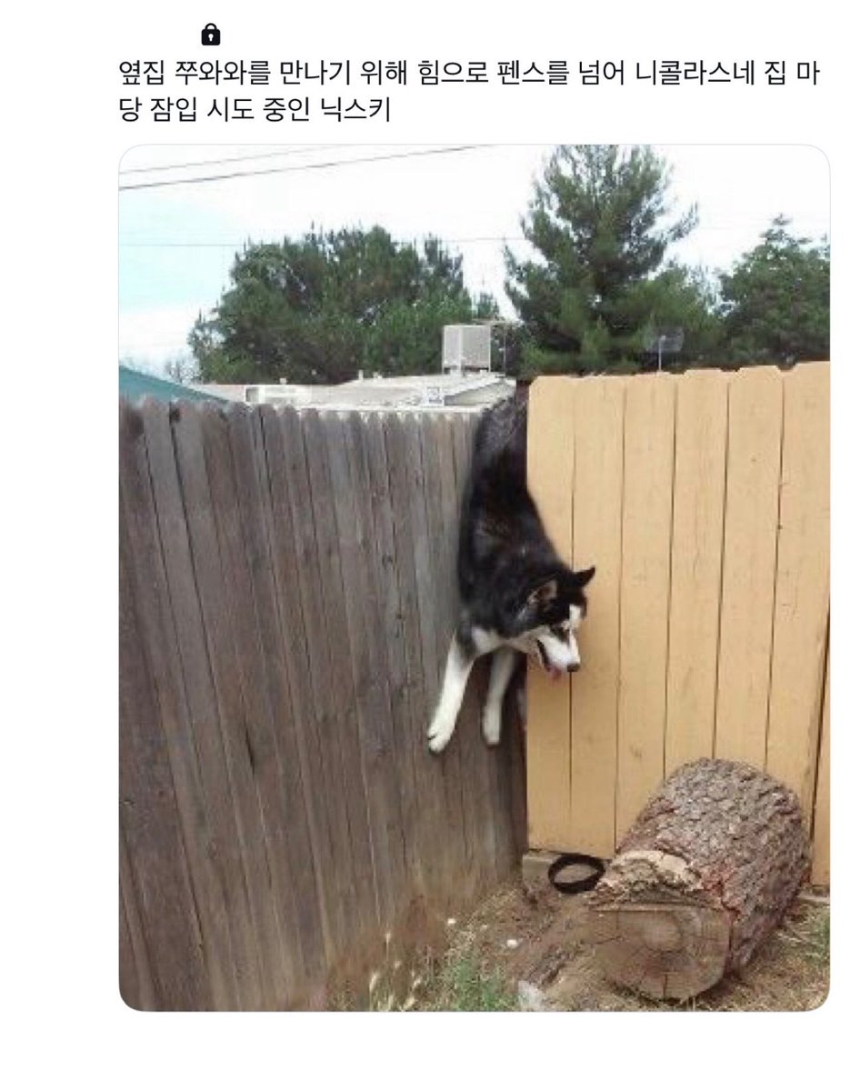 닉쭈
닉스키 백업