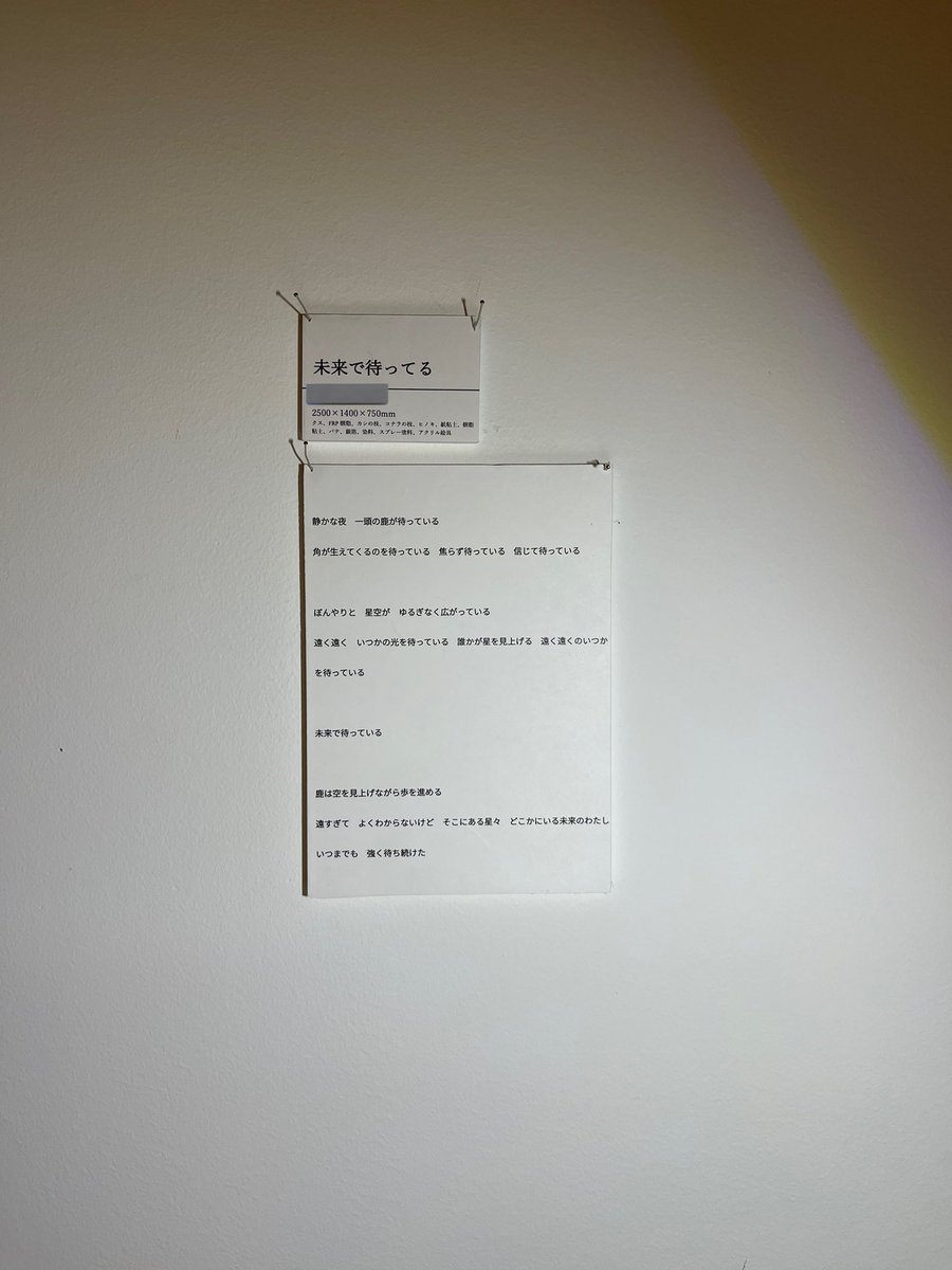 ＜やの tweet media