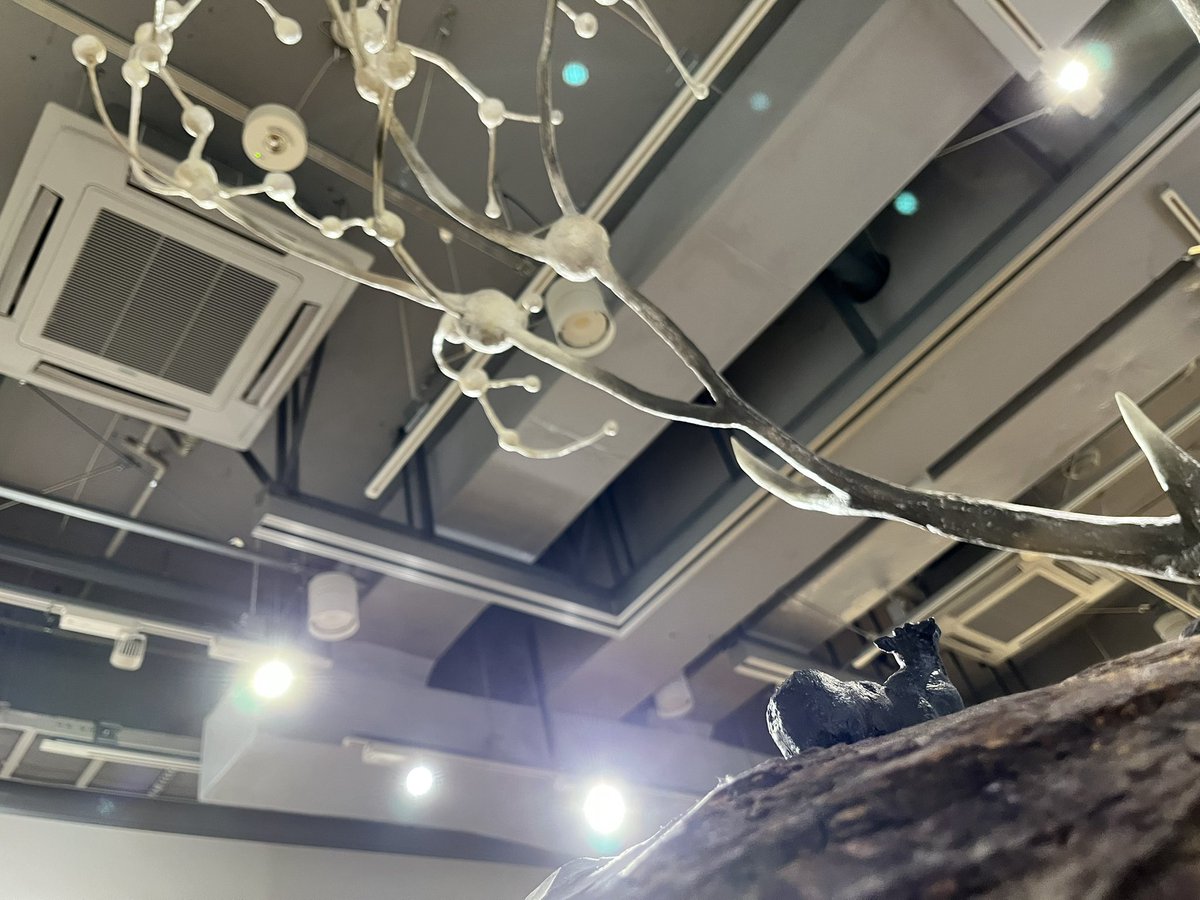 ＜やの tweet media