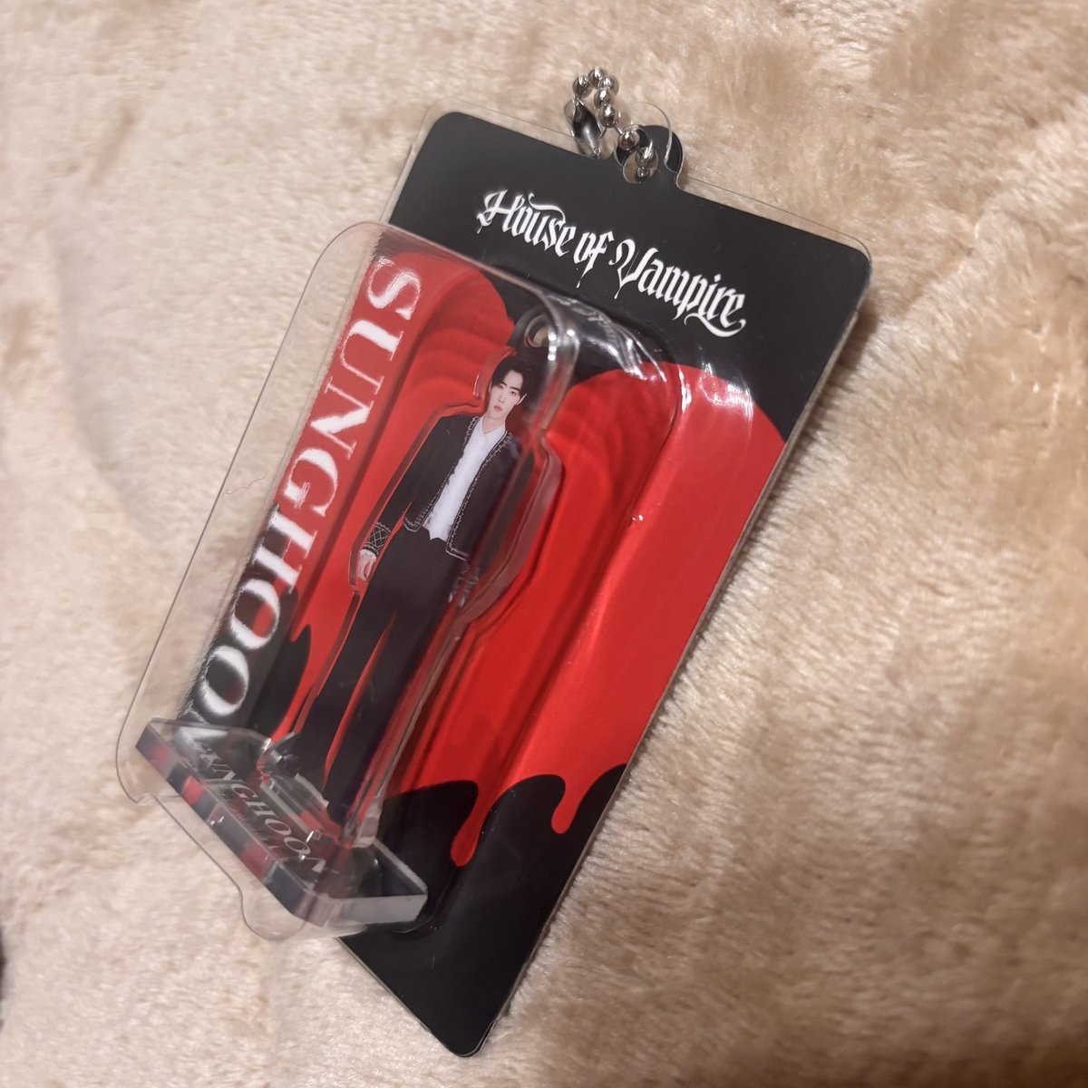 ENHYPEN 交換 楽曲体感ミュージアム House of Vampire アクリル