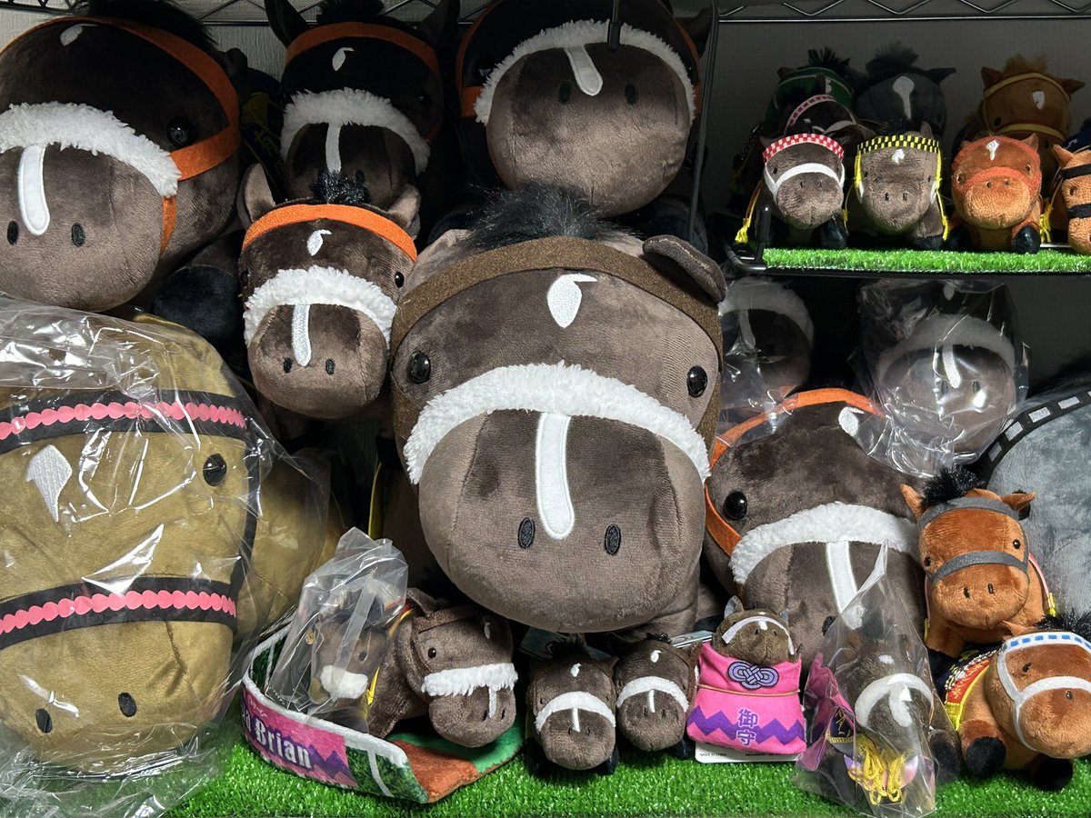 ←コレが →こう #サラブレッドコレクション