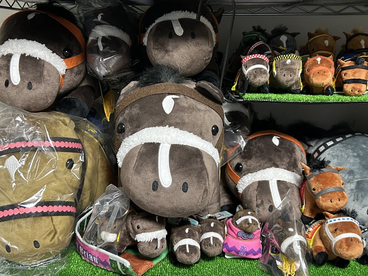 ←コレが →こう #サラブレッドコレクション