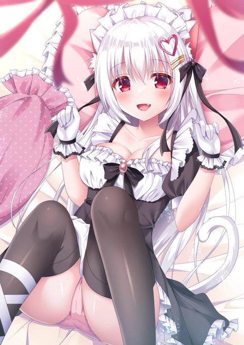 しろねこさん🎀
 #猫の日 