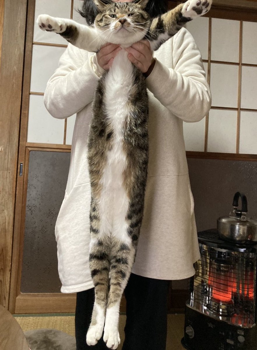 しお味 tweet media