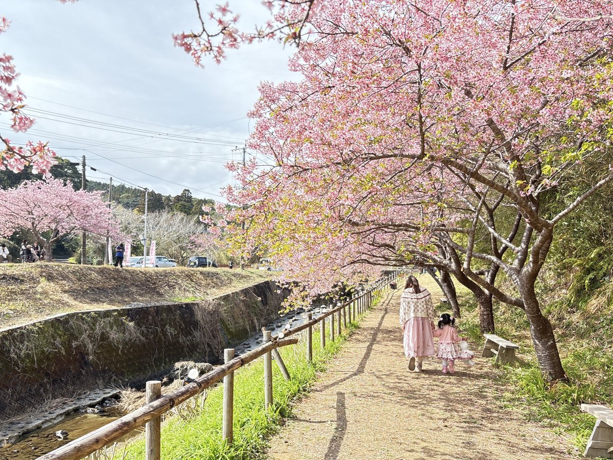 ここね🌷🩰 tweet media