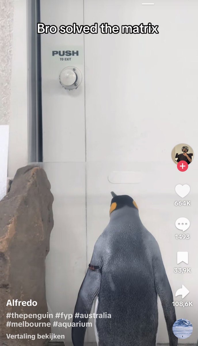 <a href="/Degen_Hardy/">Hardy</a> Hardy you want to $PUSH to exit and help Alfredo escape the matrix

F5RyYFSXMuTXPjcLBTDr9ihy7ZUw93f1b3gLn1U1pump