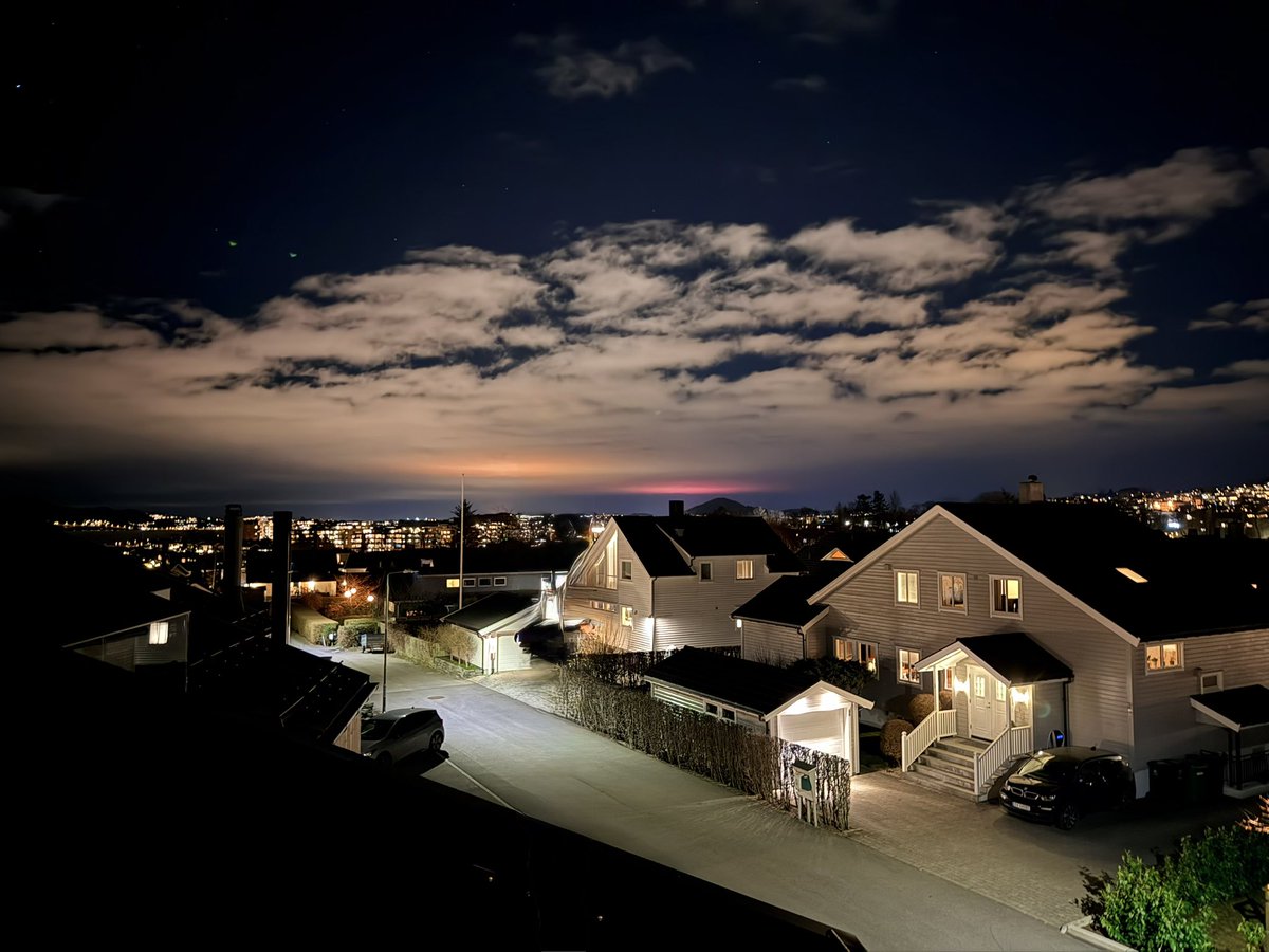 Melike Sengul tweet media