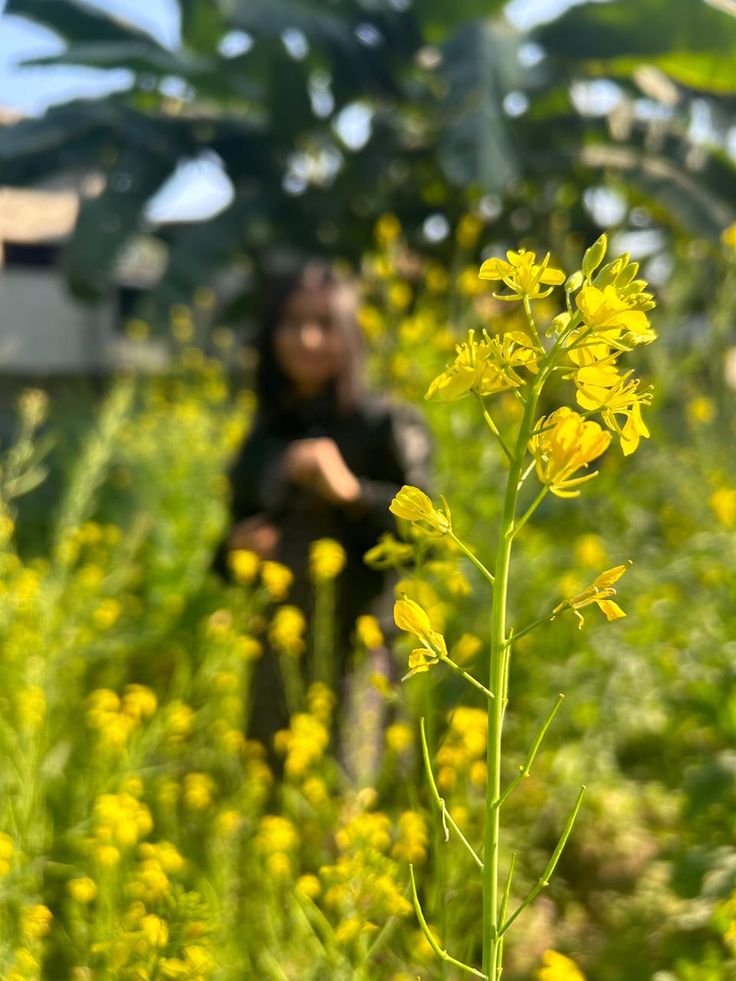 پائیں گے اب کہاں مجھے یارانِ ناشناس.....

میں خود سے ہوں فرار مرا کچھ پتہ نہیں.....