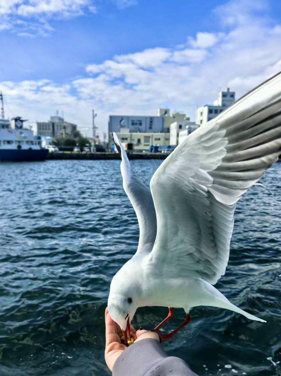 いい日旅立ち