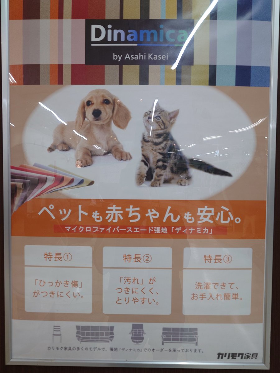ohkawa_kagu's tweet photo. 〈東浦和店〉
こんばんは！🐾
#猫の日 なので、本家にいるお猫様をどうぞ！
只今、#春の特別ご招待セール を開催中です。ペットと暮らしたい方向けにペット対応生地を扱った商品がございます
#LiveSmart や #マーブル、#旭化成 さんの #Dinamica などが該当いたします
どの生地も引っかきにつよく、汚れにくいのが特徴です！
東浦和店のURL➭https://t.co/RjhClZzibz
#さいたま市
#東浦和
#家具探し
#猫のいる暮らし 
#Sofit
#karimoku