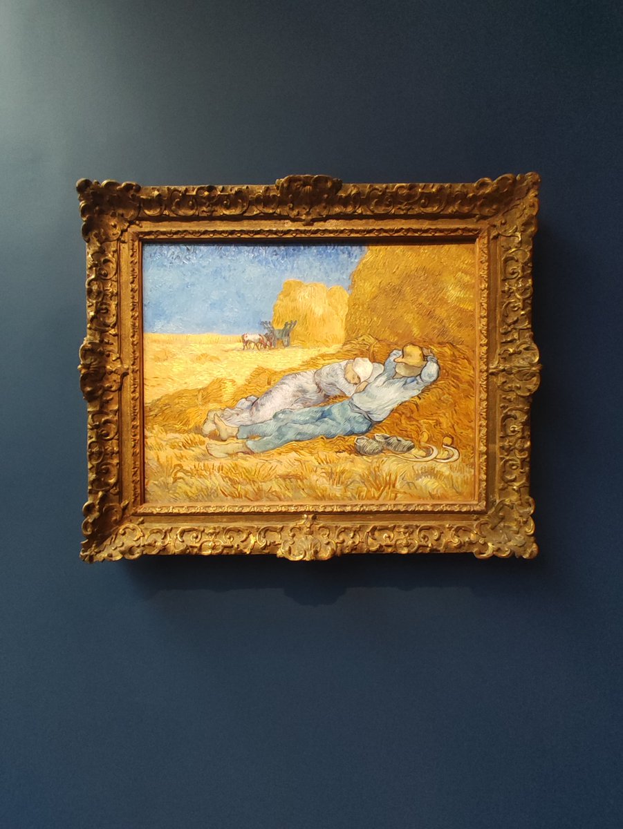 FLIM LABS tweet media