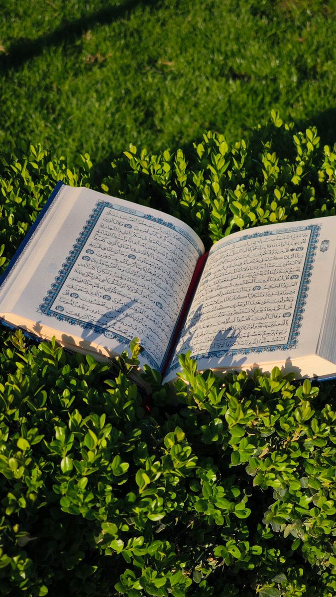 فضائل امیرالمؤمنین tweet media