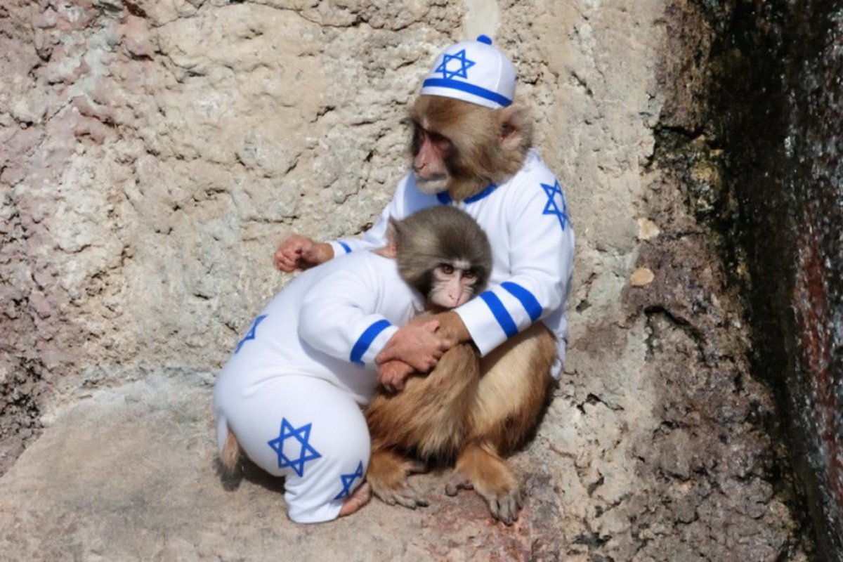 got punch jewed up
use this 
israelify.vercel.app