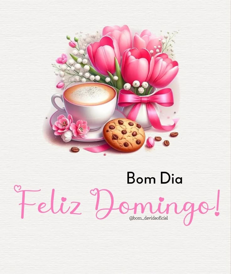 gmdancona's tweet photo. Ótimo domingo a todos. https://t.co/bWdLNBiZ8u