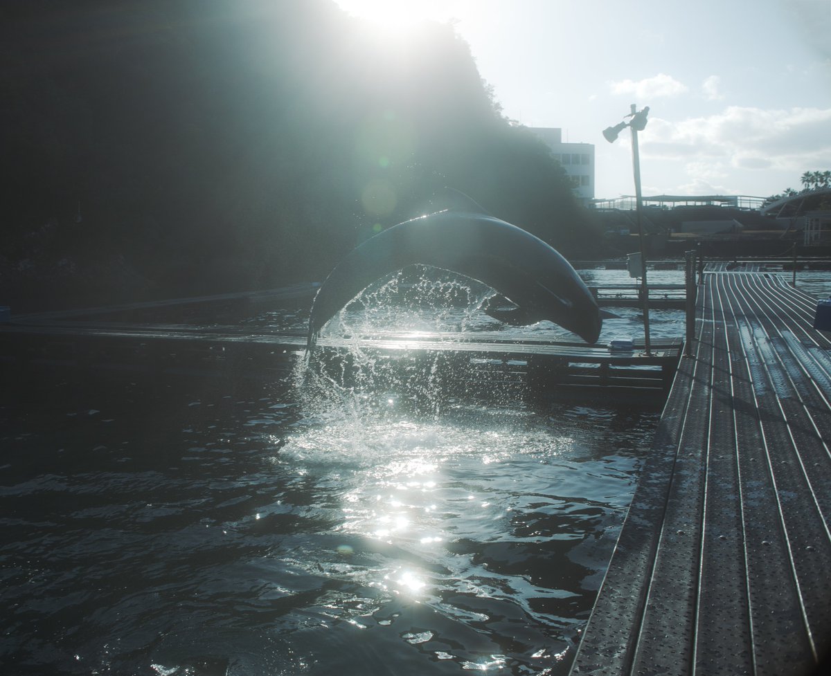 ひなた tweet media