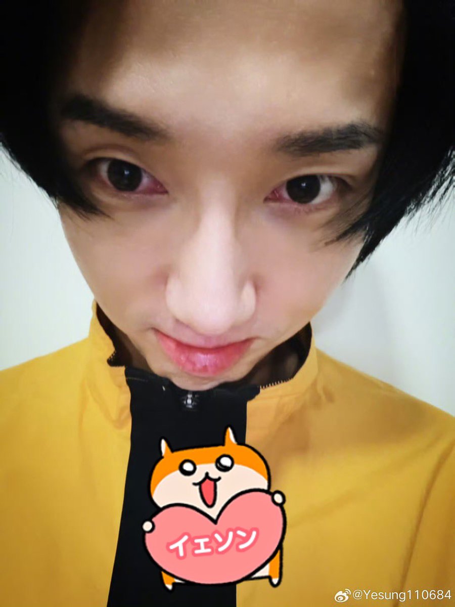 やばい癒しきた😭😭😭😭😭😭😭😭😭😭